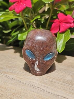Red Garnet Crystal Skull Labradorite Eyes
